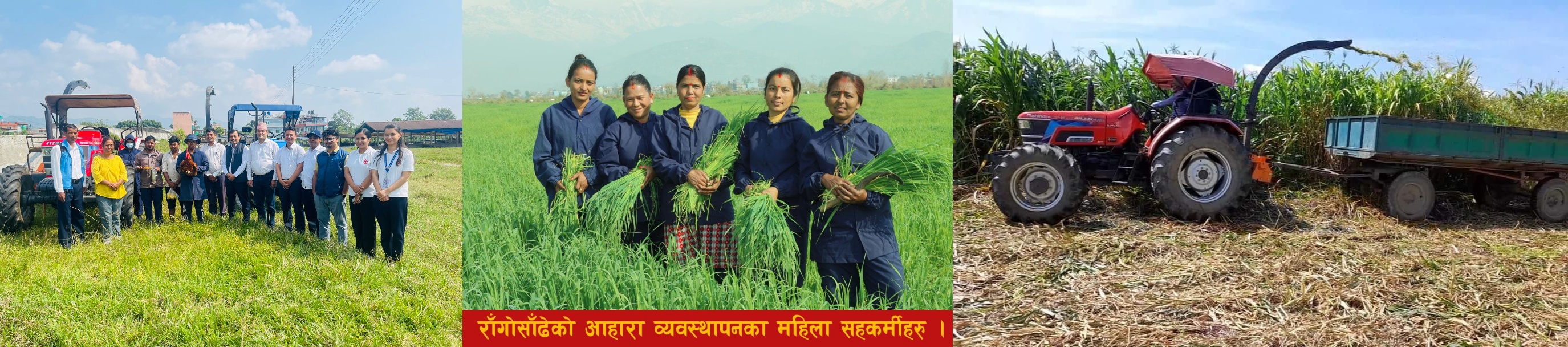 पशु आहारा व्यवस्थापन शाखा